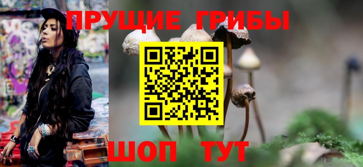 купить наркоту  Вход с VPN  Ростов Великий  Псилоцибиновые грибы мицелий 